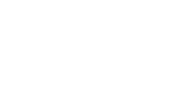 LA BATAILLE DES CHÉRIES